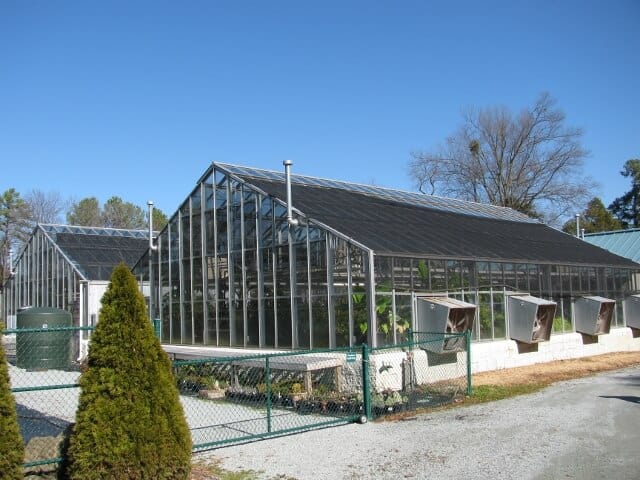 a greenhouse